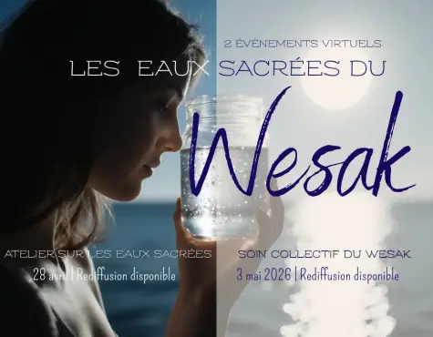 Rose Bleu et Noir Dynamique Top 10 Afrobeat Miniature YouTube (28)