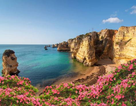 ccc74c3d-4c36-4886-858c-3030c448ffc5